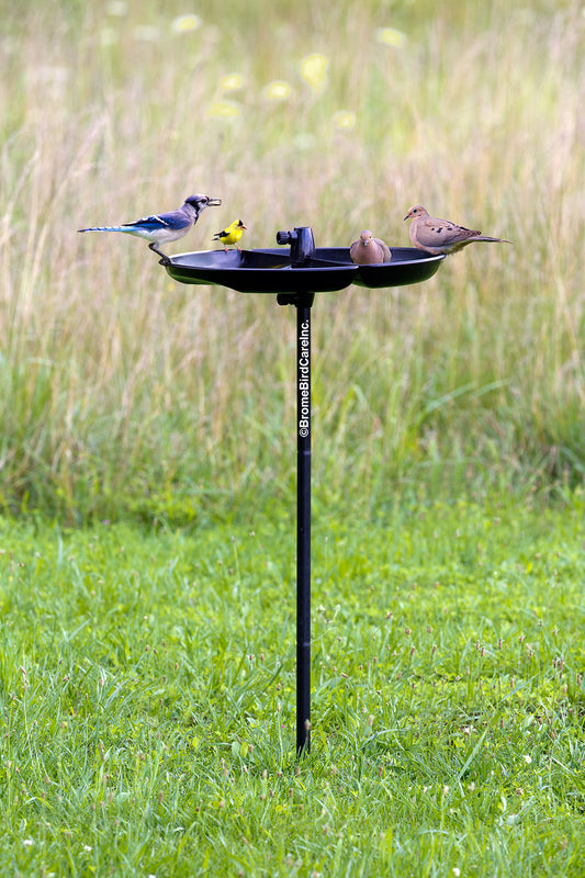 Plateau récupérateur de grains et mangeoire plateau - Seed Buster