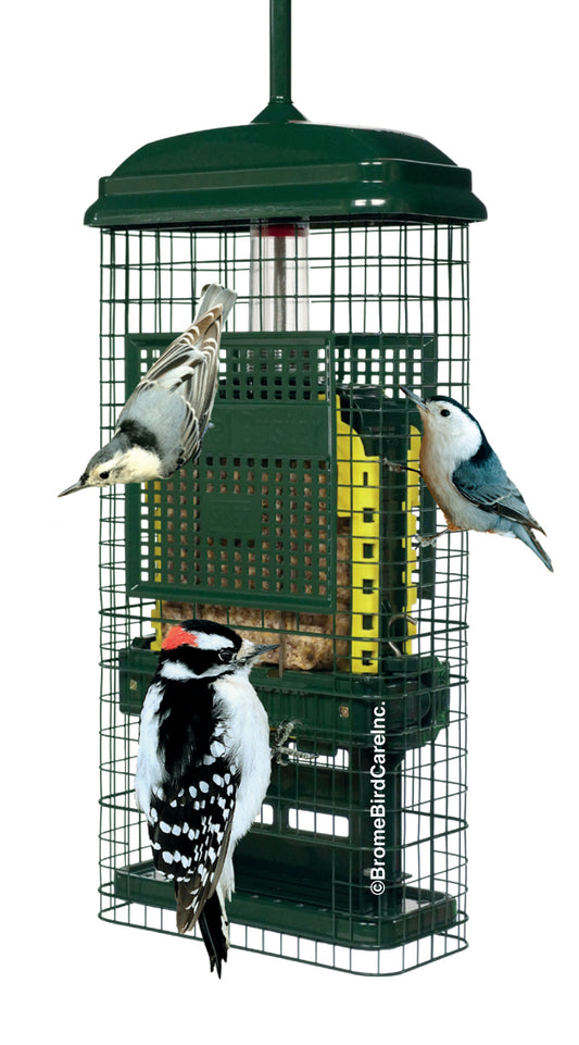 Squirrel Buster pour Suif