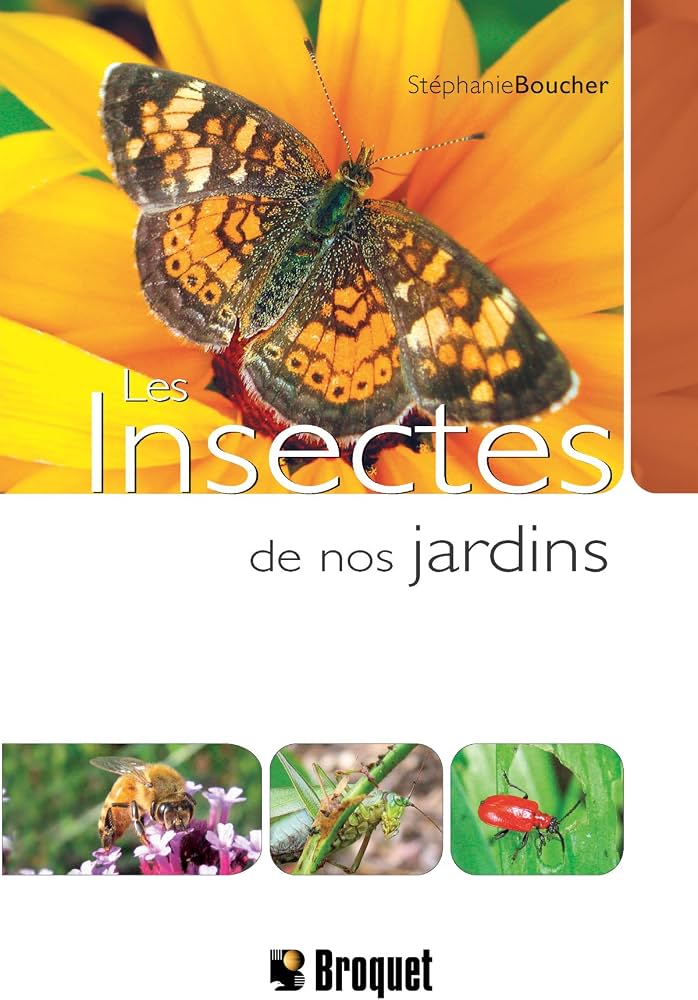 Les insectes de nos jardins
