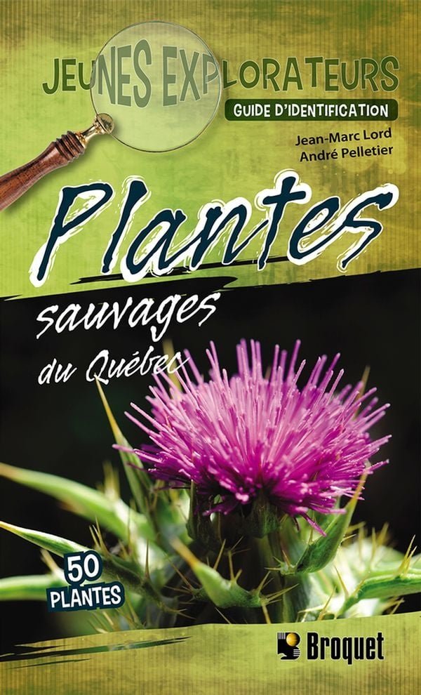 Plantes sauvages du Québec (Jeunes explorateurs)