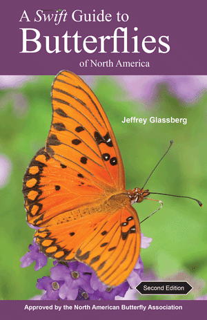 Swift Guide to Butterflies of North America
