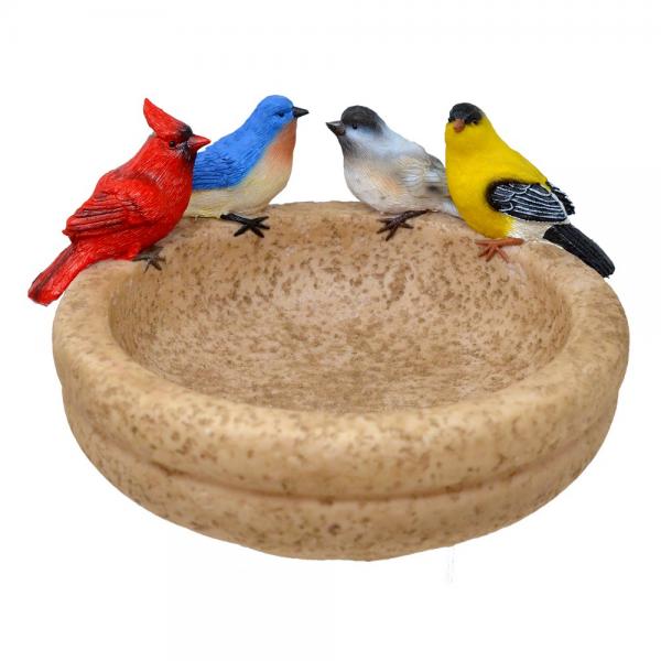 Petit bain à 4 oiseaux