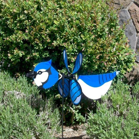 Geai bleu volant mini