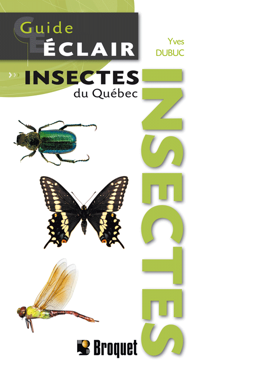 Guide-Éclair Insectes du Québec