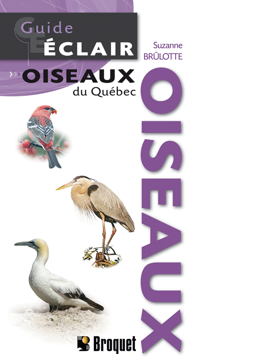 Guide-Éclair Oiseaux du Québec