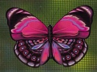 Protège-moustiquaire aimanté - Papillon rose