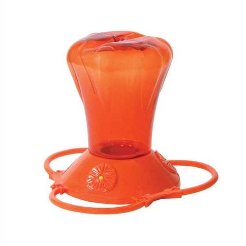 Abreuvoir pour orioles 34oz