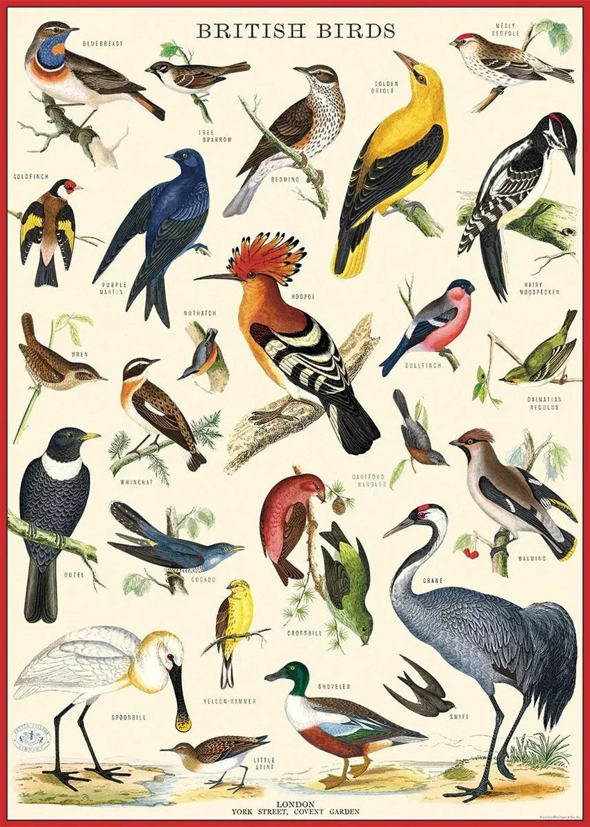 Casse-tête 1000 morceaux - Oiseaux britanniques