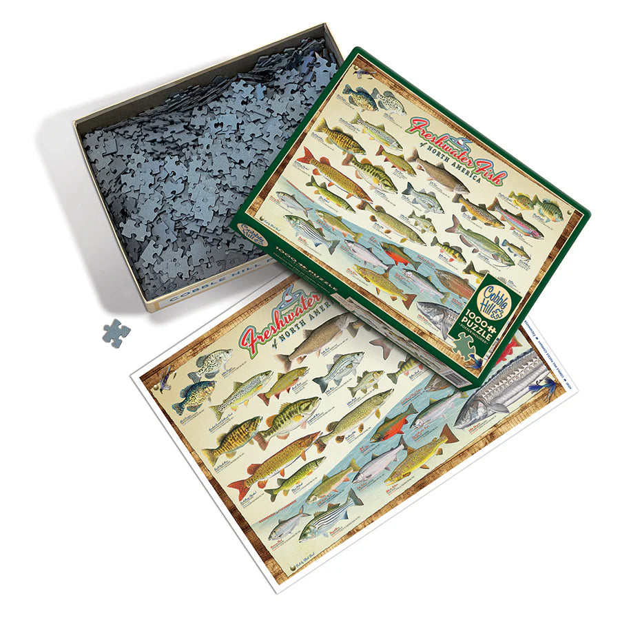 Puzzle 1000 pieces - Poissons d'eau douce d'Amérique du Nord