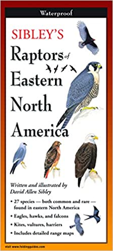 Sibley Raptors of Eastern North America