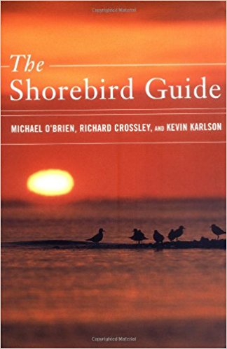 Shorebird Guide