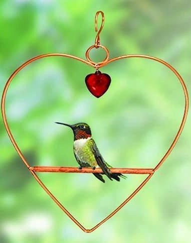 Perchoir en forme de coeur pour colibri