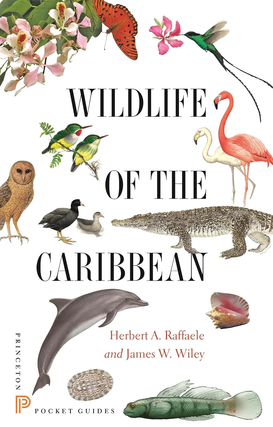 Wildlife of the Caribbean (Raffaele)