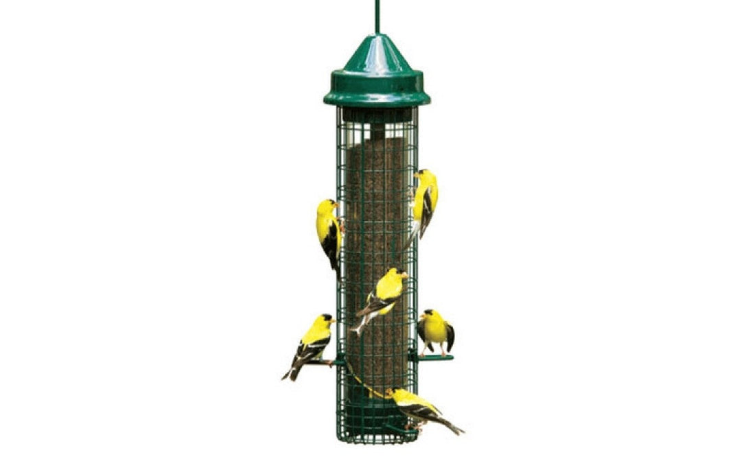 Comment choisir une mangeoire d’oiseaux ? Guide pratique pour attirer les bons oiseaux