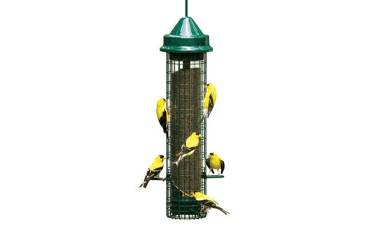 Comment choisir une mangeoire d’oiseaux ? Guide pratique pour attirer les bons oiseaux