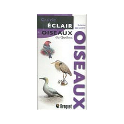 Affiches et Guides-éclair