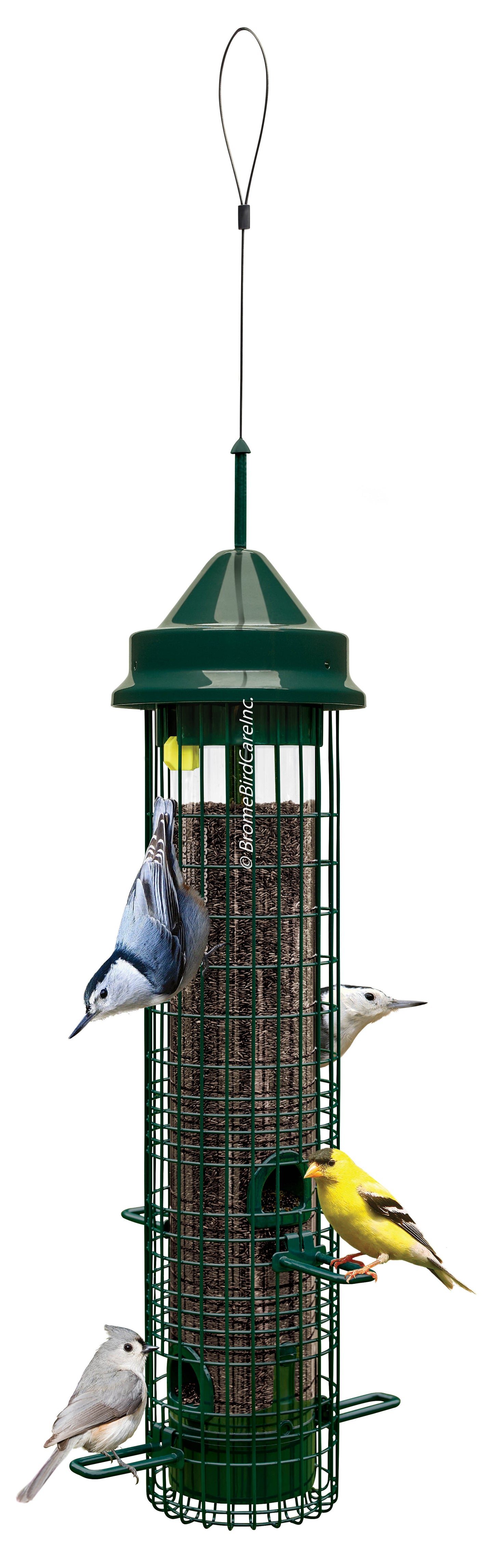 Squirrel Buster Classic