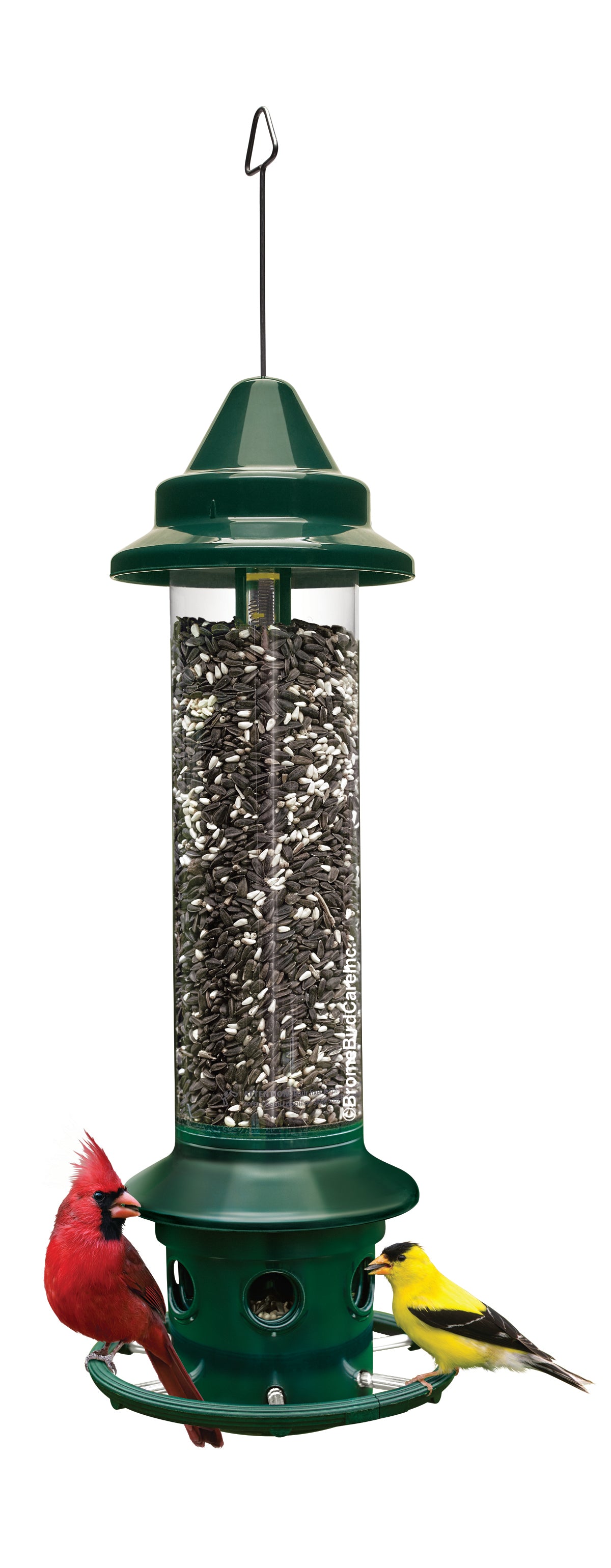 Squirrel Buster Plus