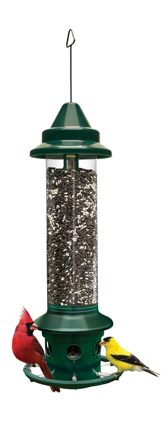 Squirrel Buster Plus