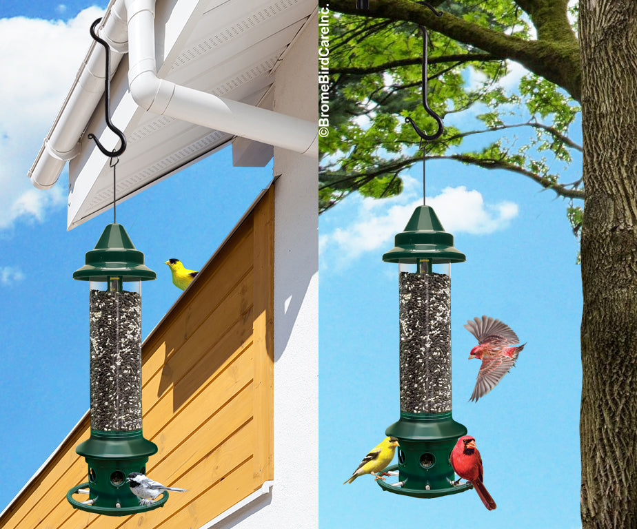 Squirrel Buster Plus