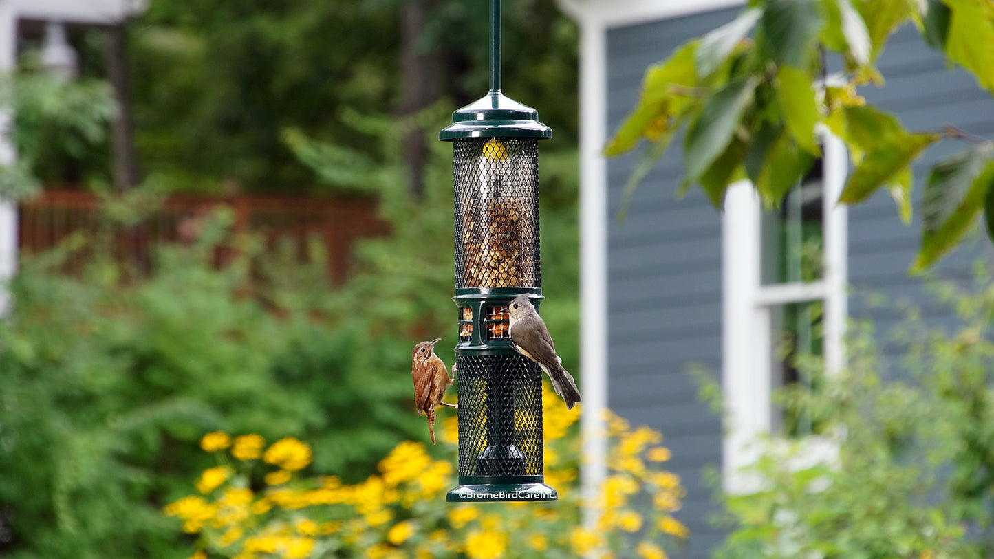 Squirrel Buster Nut Feeder