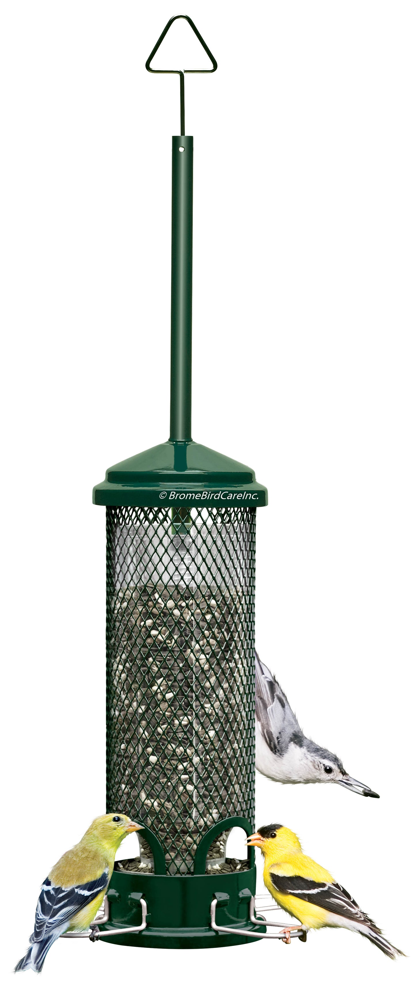 Squirrel Buster Mini