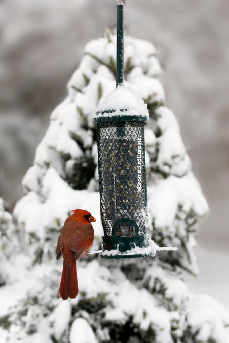 Squirrel Buster Mini