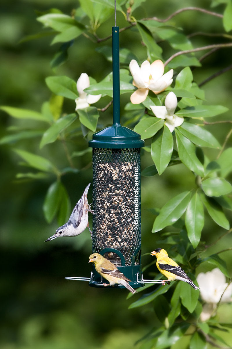 Squirrel Buster Mini