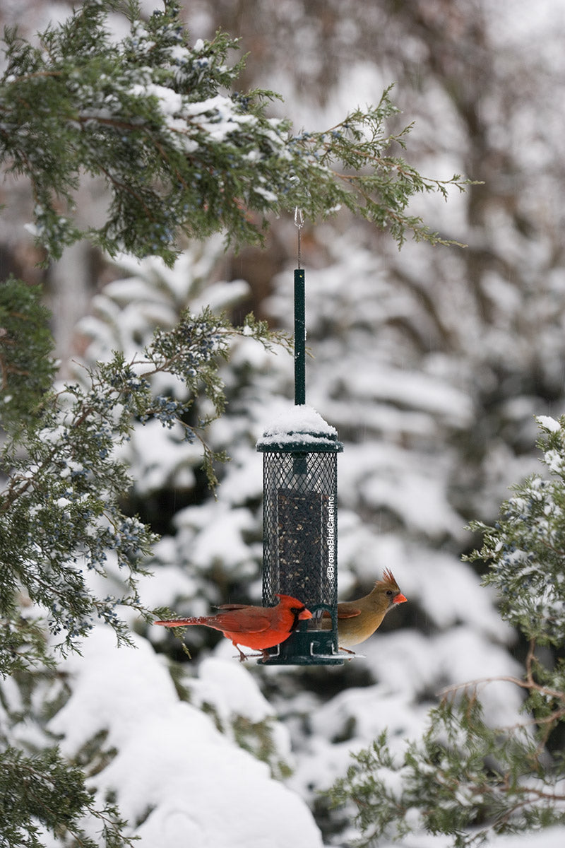 Squirrel Buster Mini