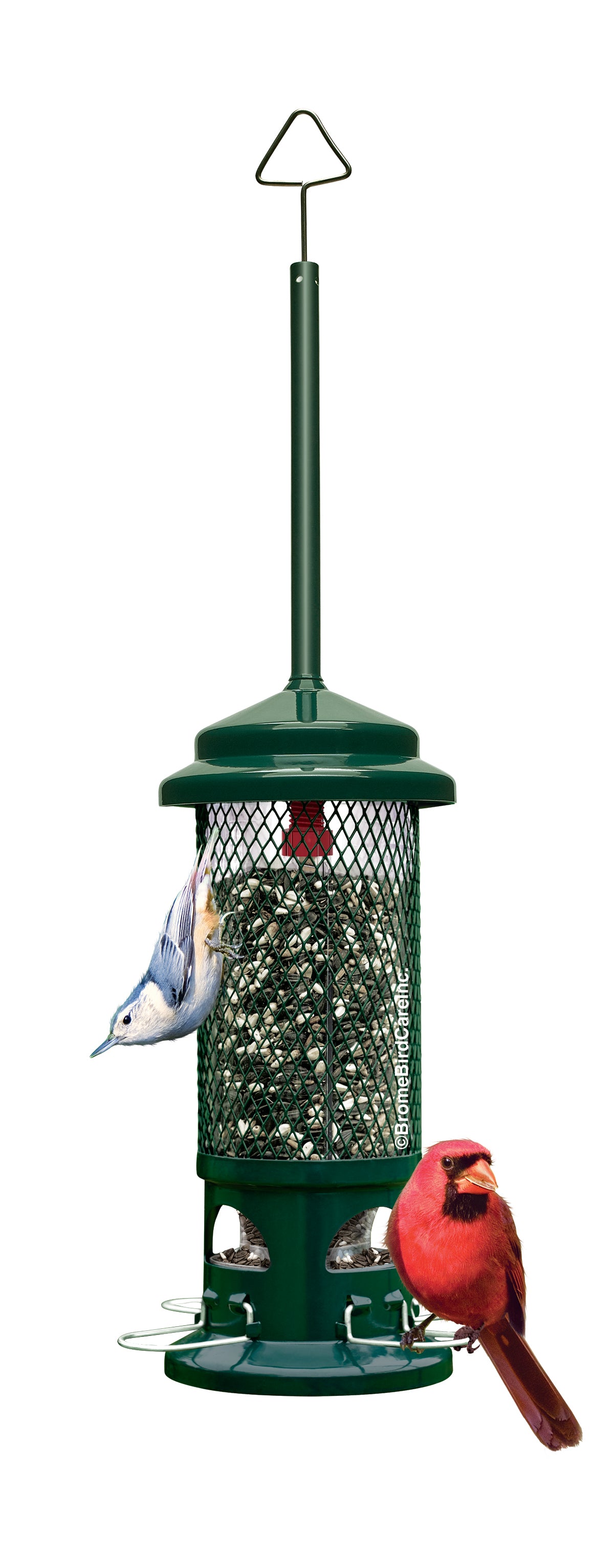 Squirrel Buster Standard