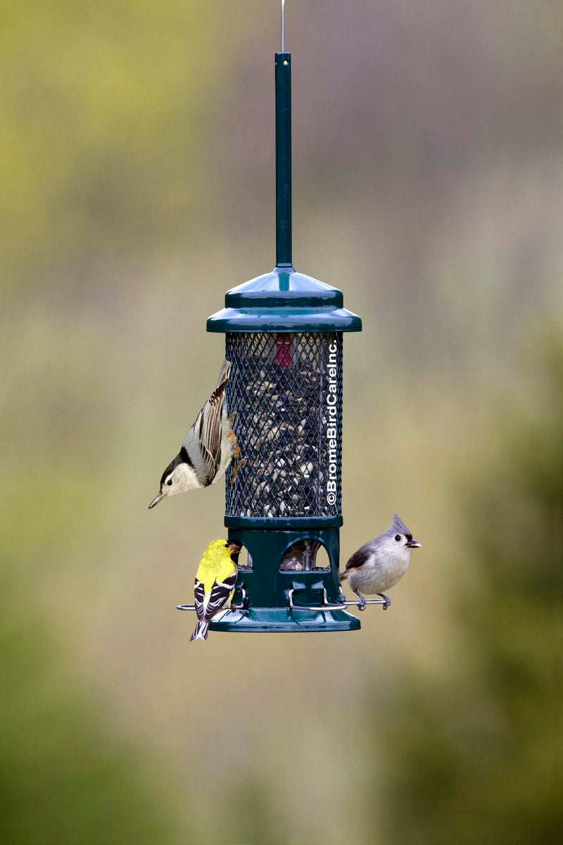 Squirrel Buster Standard
