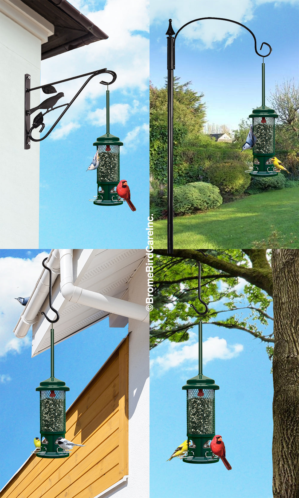 Squirrel Buster Standard