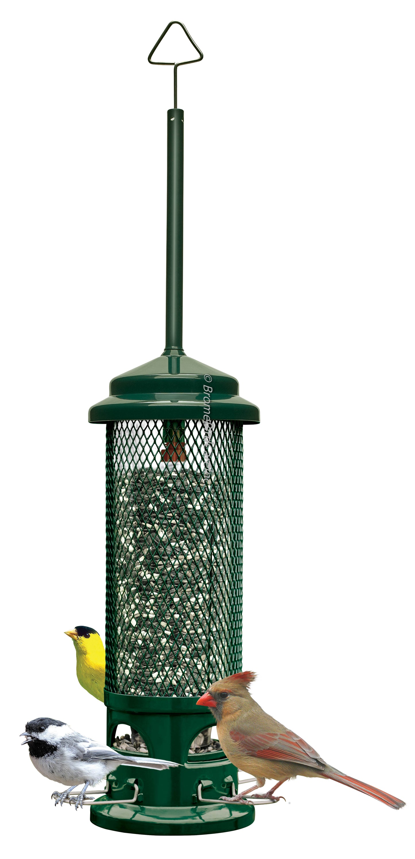 Squirrel Buster Legacy