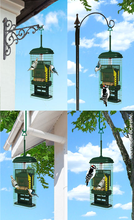 Squirrel Buster pour Suif