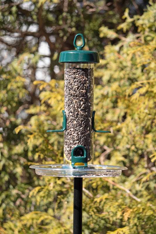 Brome Mangeoire Tube Solution 150