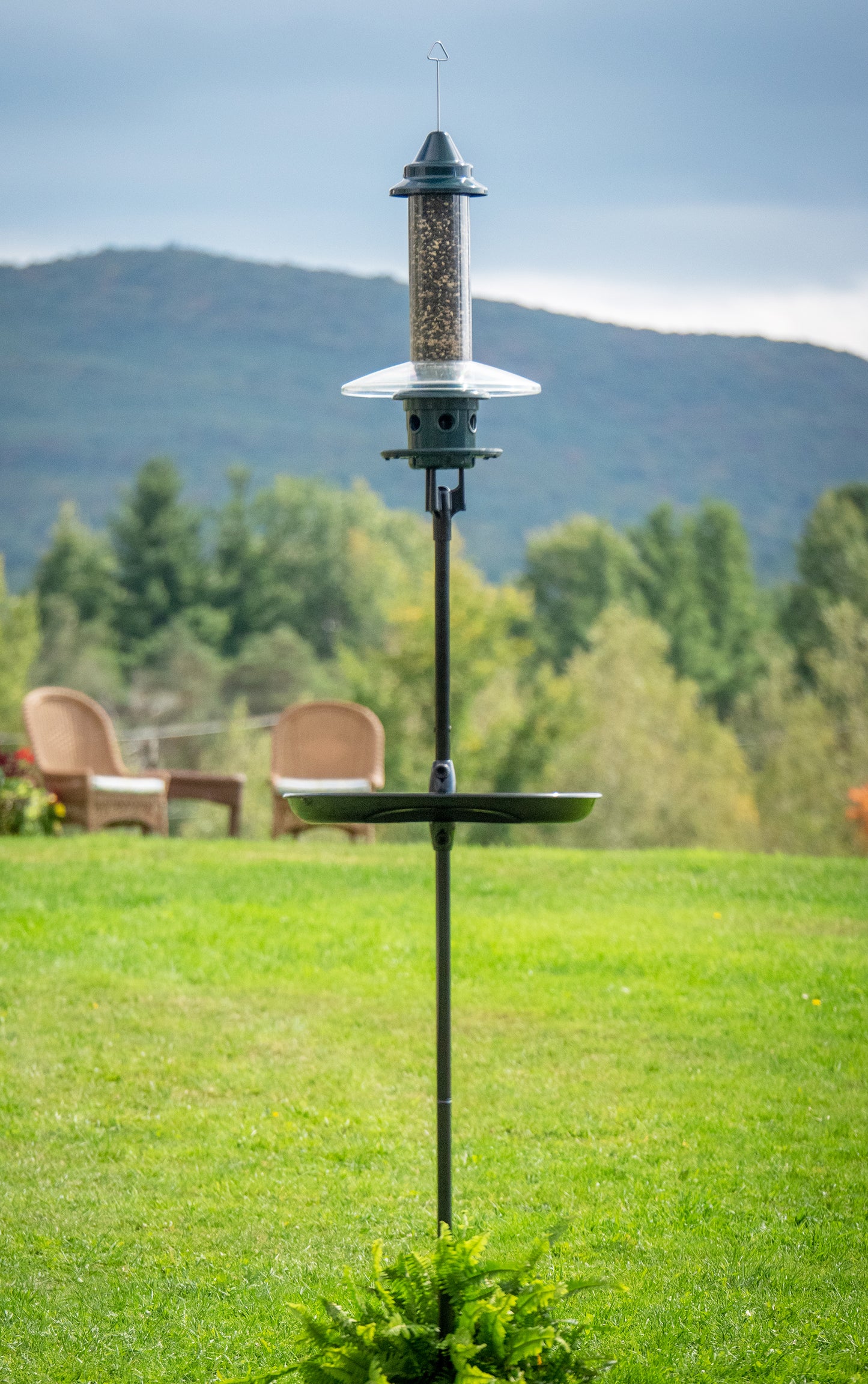 Station de mangeoires Squirrel Buster Plus Podium