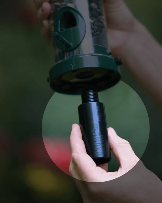 Adaptateur de haut de poteau fileté de 1 pouce