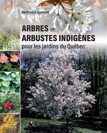 Native Trees and Shrubs for Quebec Gardens