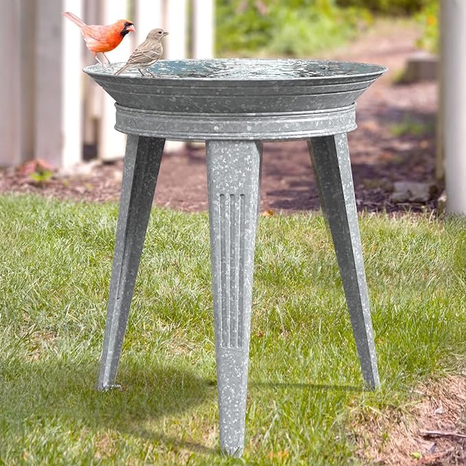 Bain d'oiseau avec support 18 pouces