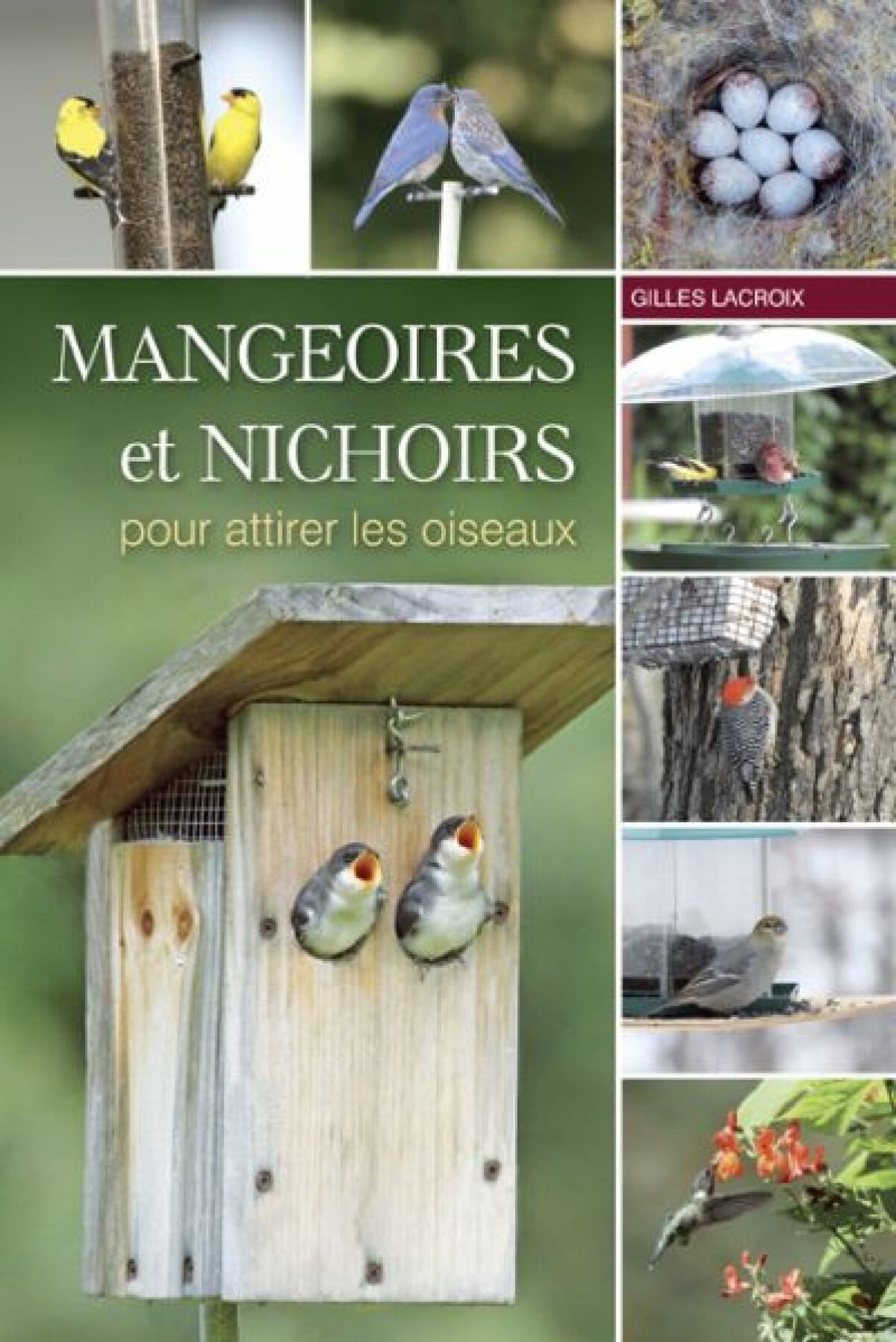 Mangeoires et nichoirs pour attirer les oiseaux