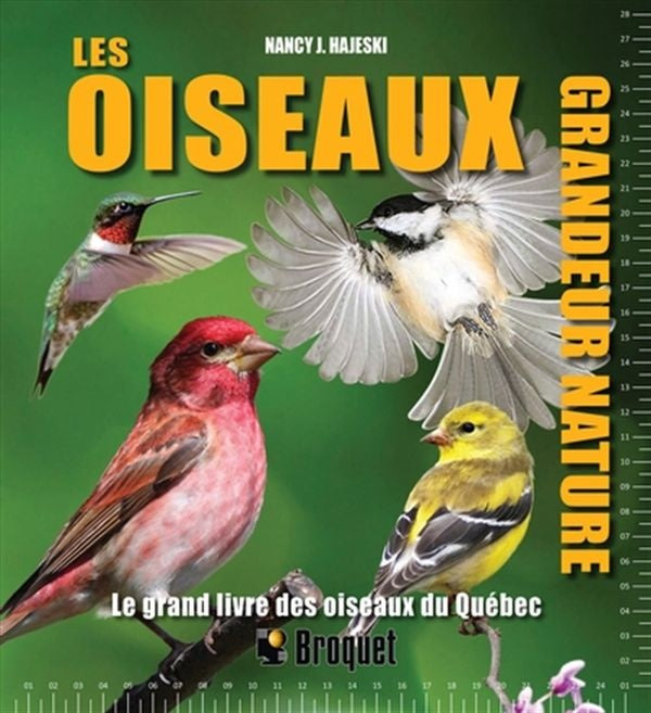 Les oiseaux grandeur nature