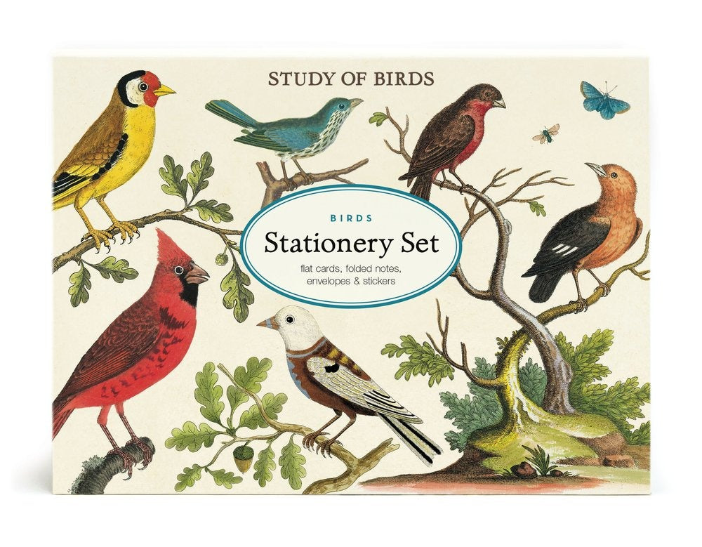 Ensemble de 16 cartes et autocollants avec oiseaux