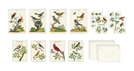 Ensemble de 16 cartes et autocollants avec oiseaux