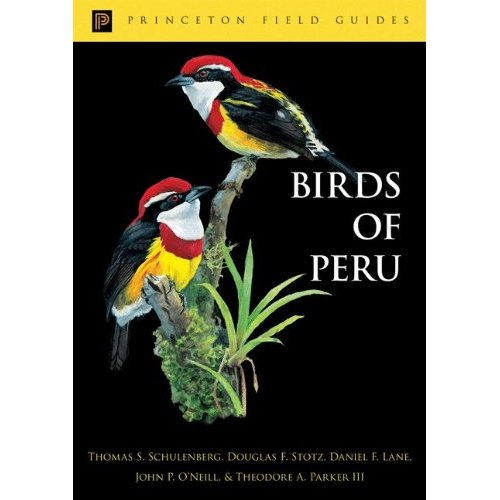 Birds of Peru