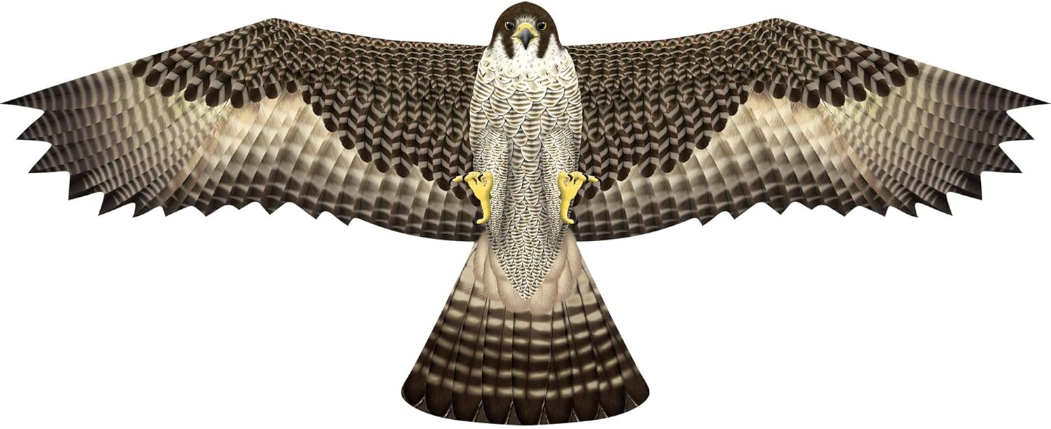 Cerf-volant Faucon / Buse 48''