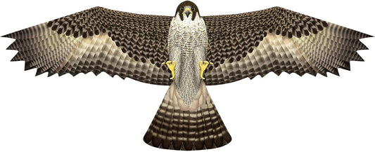 Cerf-volant Faucon / Buse 48''
