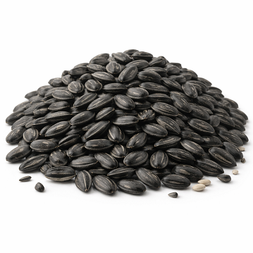 Tournesol noir (2,2kg)
