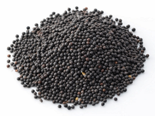 Colza (2,2kg)