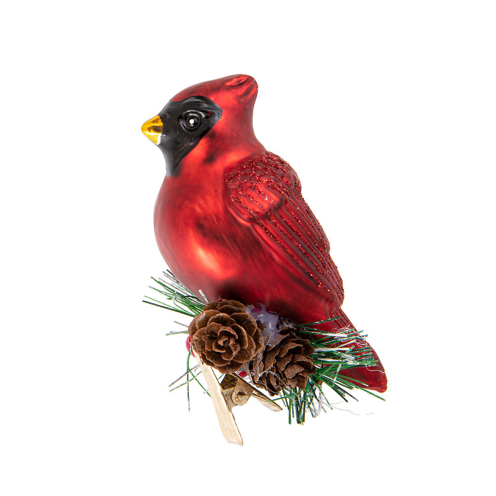 Cardinal sur branche avec clip