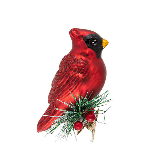 Cardinal sur branche avec clip